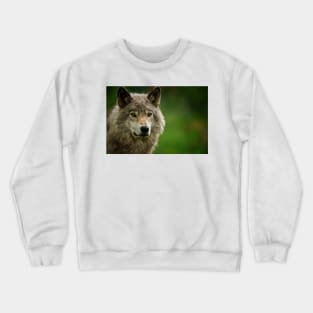 Gray Wolf Crewneck Sweatshirt